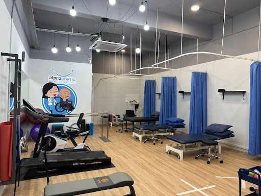 ALPRO Physio Gong Badak