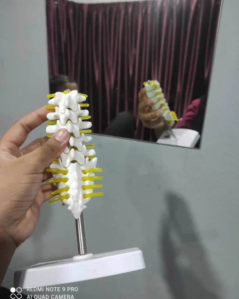 PHYSIOLINK BESTARI JAYA. (PHYSIOTHERAPY)